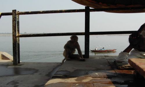 INDIE / Uttar Pradesh / Varanasi / w zgodzie