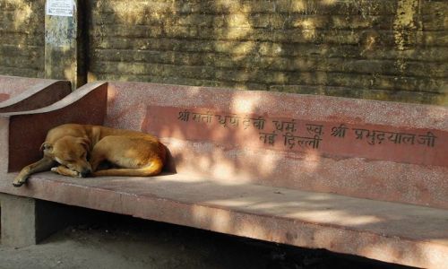 INDIE / Uttaranchal / Rishikesh / na awce