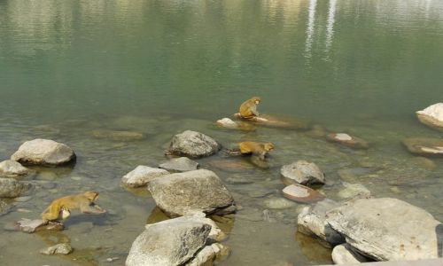 INDIE / Uttaranchal / Rishikesh / nad brzegiem