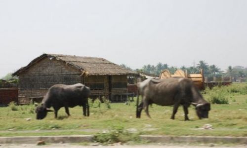 Zdjęcie INDIE / Kalkuta / Salt Lake City / !