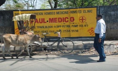 Zdjęcie INDIE / Kalkuta / Salt Lake City / Kalkuta