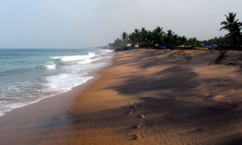 Zdjcie INDIE / Karela / Kovalam, okolice / ... idc przed siebie ....