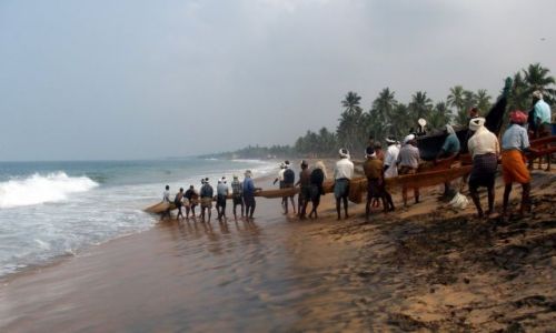 Zdjcie INDIE / Karela / Kovalam, okolice / ... zaraz bdzie wiadomo ...