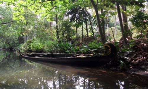 Zdjęcie INDIE / Kerala / ok 40 km od Kochi, backwaters.... / ... chwilowa bezczynność ...