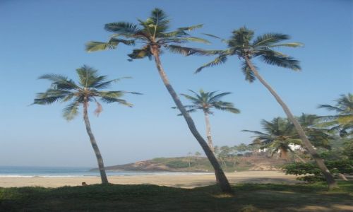 Zdjęcie INDIE / Kerala / Kovalam / ... w cieniu ...