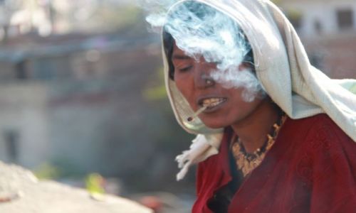Zdjecie INDIE / Rajasthan / Jaipur / Nag
