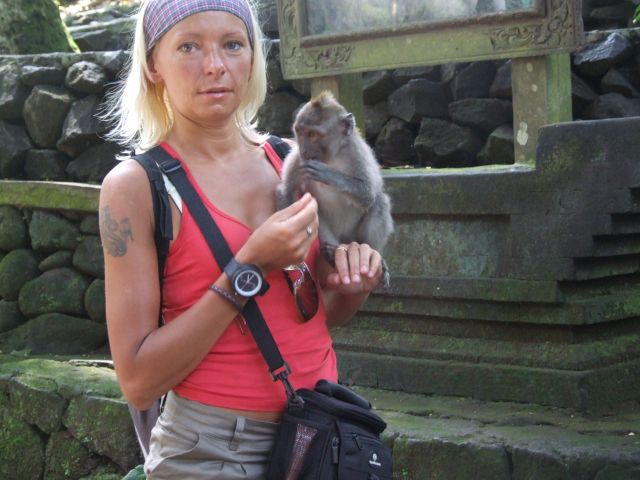 Zdjęcia: UBUD, BALI, małpeczka, INDONEZJA Zdjęcia: UBUD, BALI, małpeczka, INDONEZJA