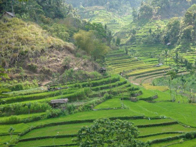 Zdjęcia: Bali, Moja Bali, INDONEZJA Zdjęcia: Bali, Moja Bali, INDONEZJA