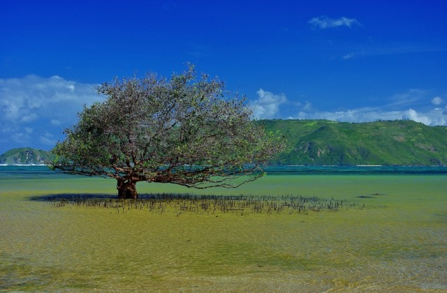 Zdj cia: Poudnie wyspy., Lombok, Poudniowy Lombok, INDONEZJA