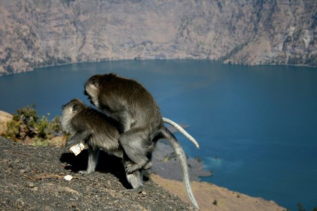 Zdjęcia: Gunung Rinjani, Jawa, i wg naszych "braci" ;), INDONEZJA Zdjęcia: Gunung Rinjani, Jawa, i wg naszych "braci" ;), INDONEZJA