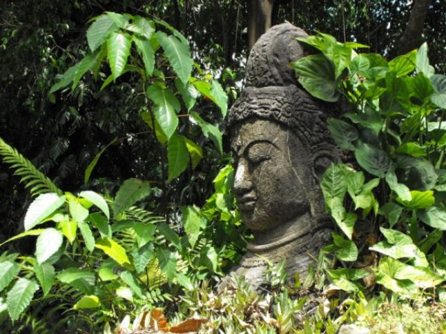 Zdjęcia: las deszczowy Bali, pł.Bali, miejsce przy drodze do wodospadów Gitgit, INDONEZJA Zdjęcia: las deszczowy Bali, pł.Bali, miejsce przy drodze do wodospadów Gitgit, INDONEZJA