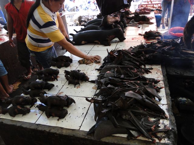 Zdjęcia: Tomohon , Sulawesi, Na targu , INDONEZJA Zdjęcia: Tomohon , Sulawesi, Na targu , INDONEZJA