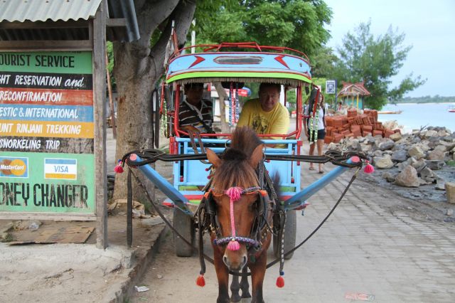Zdjęcia: Gili Trawangan, Indonezja, Zaprzęg konny, INDONEZJA Zdjęcia: Gili Trawangan, Indonezja, Zaprzęg konny, INDONEZJA