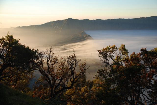 Zdjęcia: Bromo, Jawa, W pobliżu wulkany Bromo, INDONEZJA Zdjęcia: Bromo, Jawa, W pobliżu wulkany Bromo, INDONEZJA