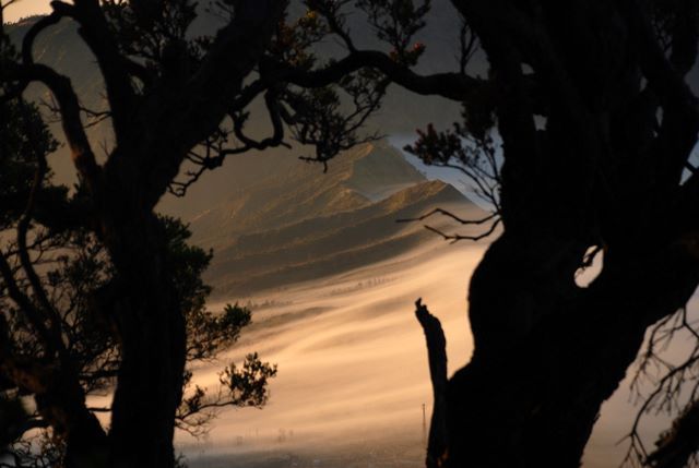Zdjęcia: Bromo, Jawa, W pobliżu Bromo, INDONEZJA Zdjęcia: Bromo, Jawa, W pobliżu Bromo, INDONEZJA