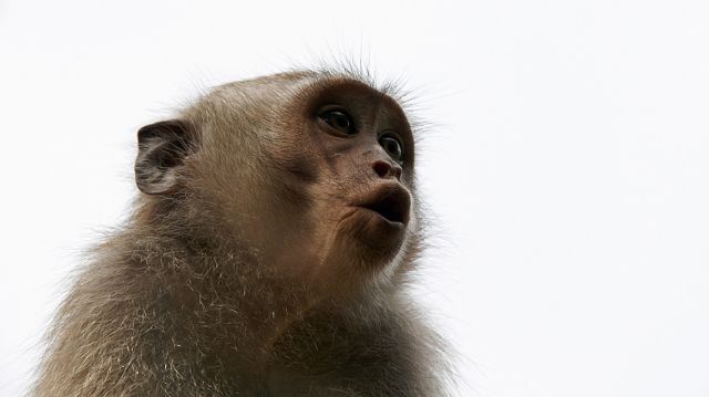 Zdjęcia: Bali, ****, INDONEZJA Zdjęcia: Bali, ****, INDONEZJA