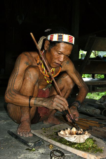 Zdjęcia: Siberut, Siberut , Mentawai, INDONEZJA Zdjęcia: Siberut, Siberut , Mentawai, INDONEZJA