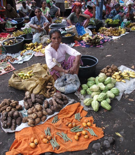 Zdjęcia: Ulon Doni, Lembata, ... tylko barter ..., INDONEZJA Zdjęcia: Ulon Doni, Lembata, ... tylko barter ..., INDONEZJA