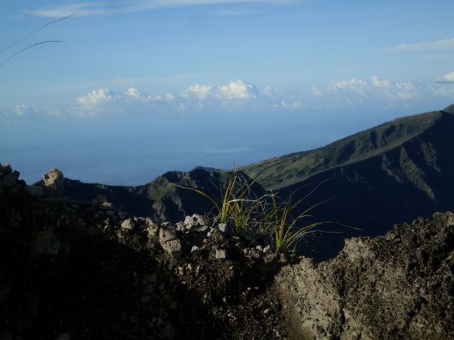 Zdjęcia: Rinjani, Lombok, ... jeszcze w zielone gramy ..., INDONEZJA Zdjęcia: Rinjani, Lombok, ... jeszcze w zielone gramy ..., INDONEZJA