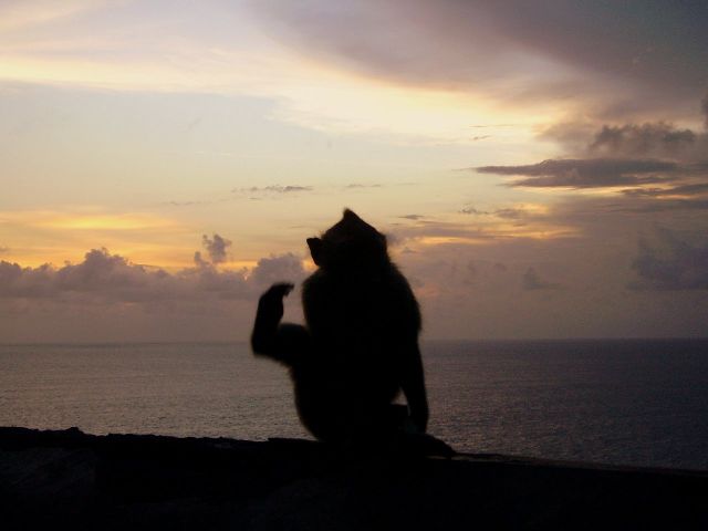 Zdjęcia: okolice świątyni Ulu Watu, Bali, "yoga" o zachodzie słońca, INDONEZJA Zdjęcia: okolice świątyni Ulu Watu, Bali, "yoga" o zachodzie słońca, INDONEZJA