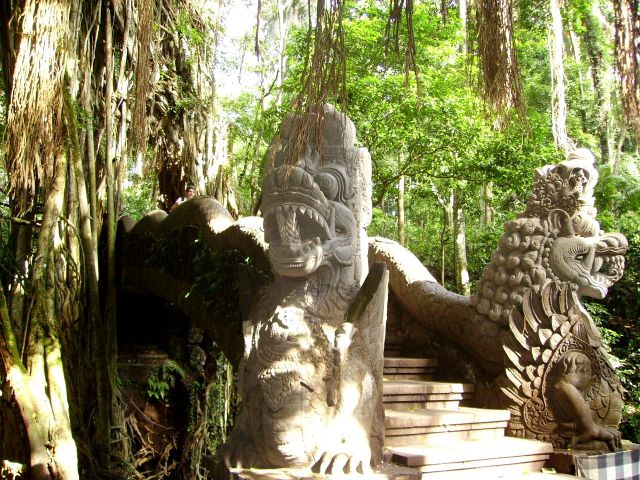 Zdjęcia: Ubud, Bali, mostek przez środek wielkiego drzewa, INDONEZJA Zdjęcia: Ubud, Bali, mostek przez środek wielkiego drzewa, INDONEZJA