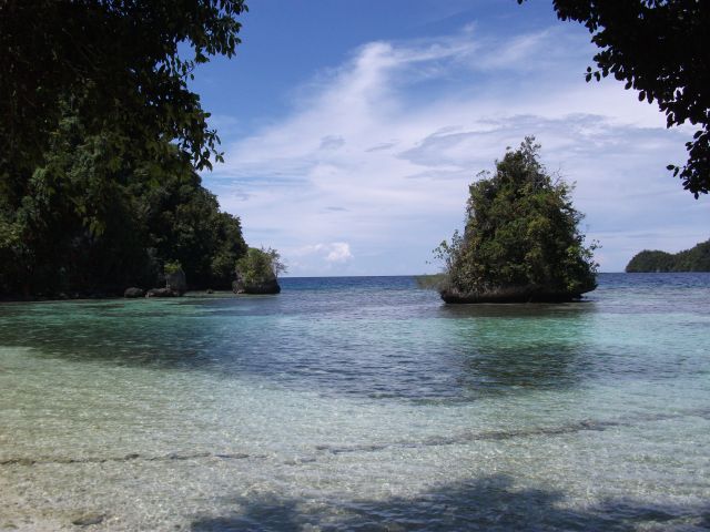 Zdjęcia: Kadidiri, Togian Islands (Sulawesi), ... oddech ..., INDONEZJA Zdjęcia: Kadidiri, Togian Islands (Sulawesi), ... oddech ..., INDONEZJA
