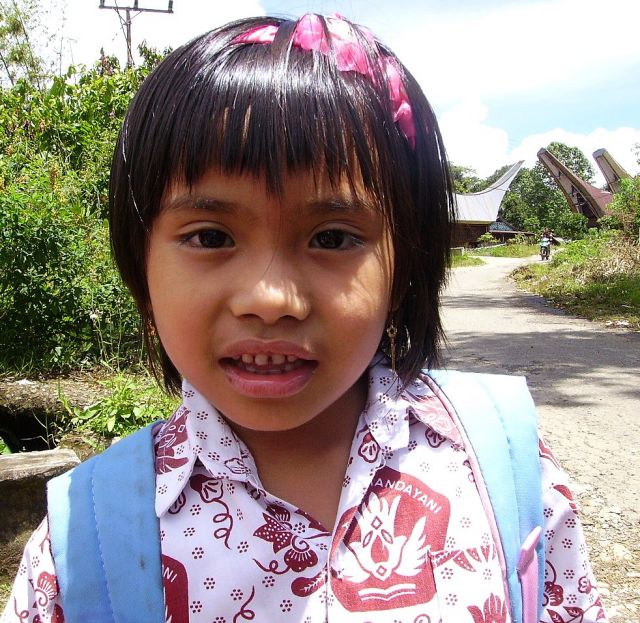 Zdjęcia: okolice Rantepao, Sulawesi Południowe, nieśmiała, INDONEZJA Zdjęcia: okolice Rantepao, Sulawesi Południowe, nieśmiała, INDONEZJA