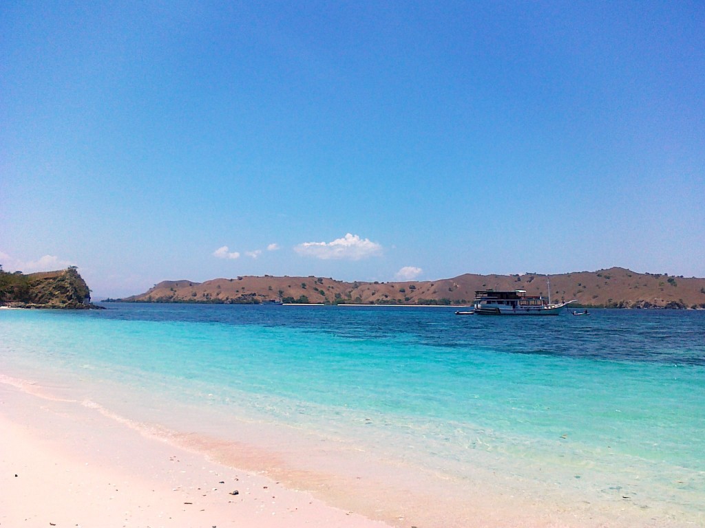 Zdjęcia: Różowa plaża, Małe Wyspy Sundajskie, Rajska plaża, INDONEZJA Zdjęcia: Różowa plaża, Małe Wyspy Sundajskie, Rajska plaża, INDONEZJA