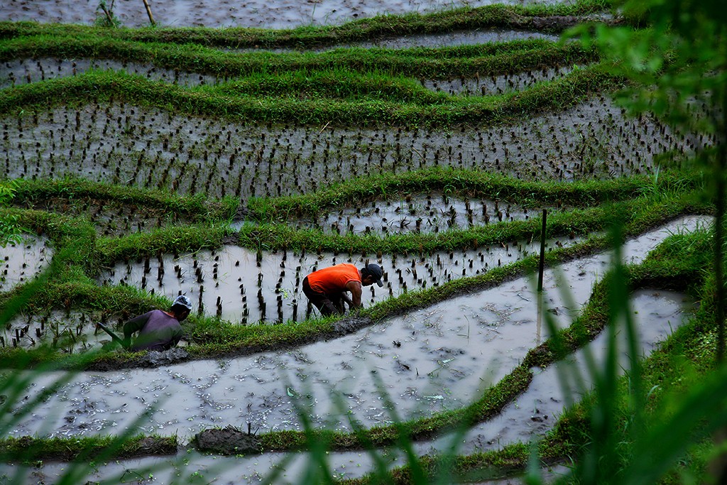 Zdjęcia: Amed, Bali, ..., INDONEZJA Zdjęcia: Amed, Bali, ..., INDONEZJA