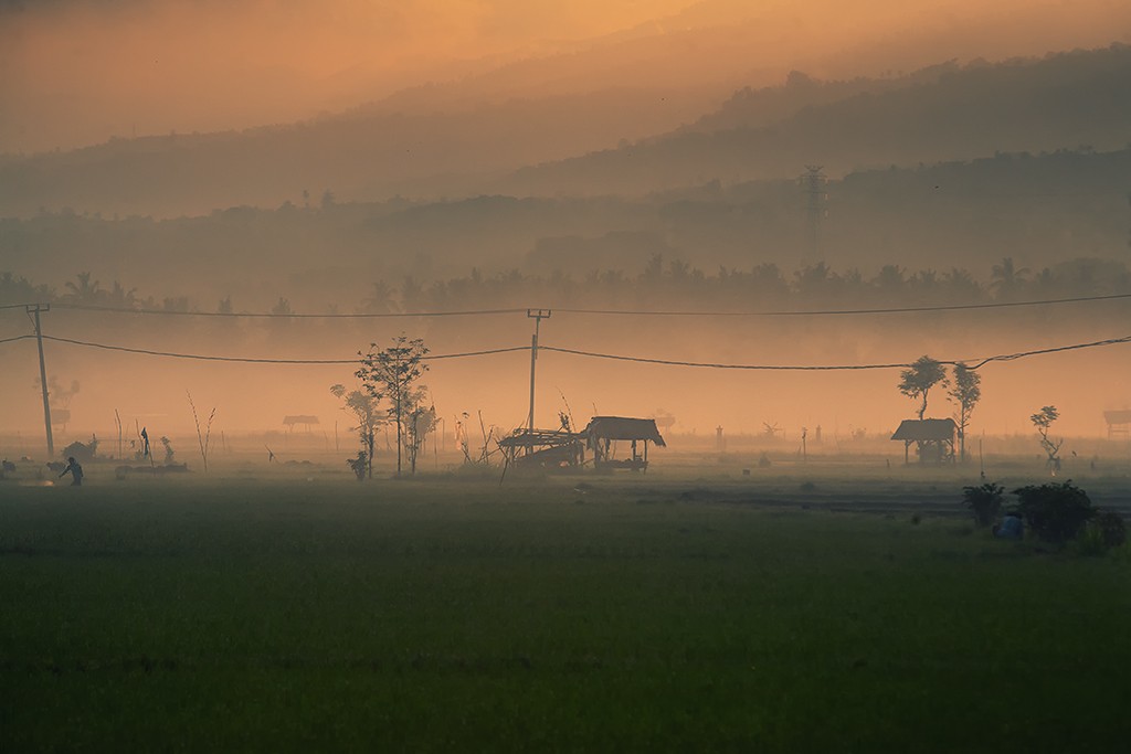 Zdjęcia: Lovina, Bali, wsrod ryzowych pol, INDONEZJA Zdjęcia: Lovina, Bali, wsrod ryzowych pol, INDONEZJA