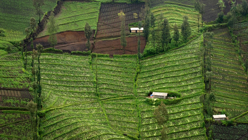 Zdjęcia: JAVA, JAVA, KONKURS-JAVA-2012, INDONEZJA Zdjęcia: JAVA, JAVA, KONKURS-JAVA-2012, INDONEZJA