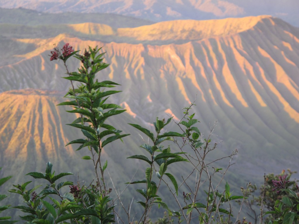 Zdjęcia: Bromo, Bromo, Krater wulkanu, INDONEZJA Zdjęcia: Bromo, Bromo, Krater wulkanu, INDONEZJA