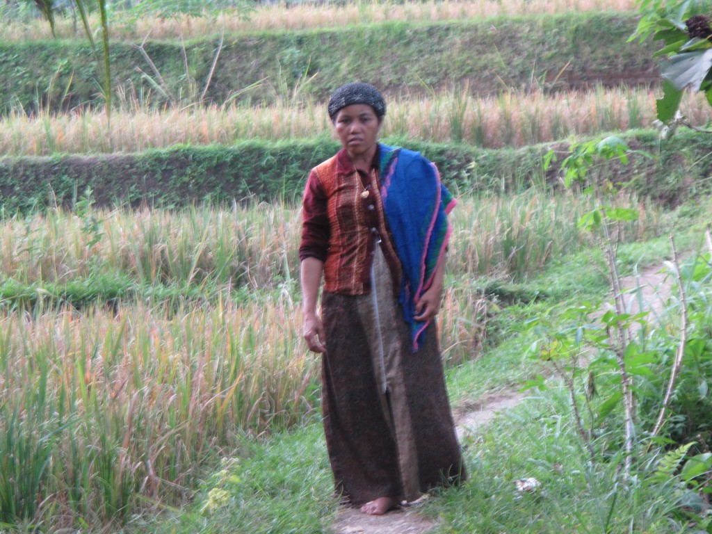 Zdjęcia: Bali, Bali, Trochę relaxu na polu ryżowym, INDONEZJA Zdjęcia: Bali, Bali, Trochę relaxu na polu ryżowym, INDONEZJA