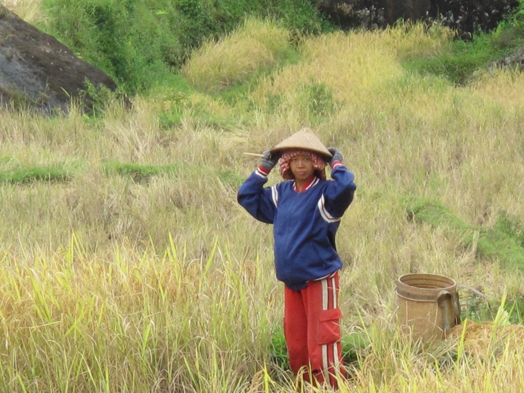 Zdjęcia: Celebes, Celebes, Chwila odpoczynku, INDONEZJA Zdjęcia: Celebes, Celebes, Chwila odpoczynku, INDONEZJA