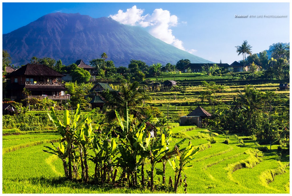 Zdjęcia: Sidemen, Bali, Mt. Agung, INDONEZJA Zdjęcia: Sidemen, Bali, Mt. Agung, INDONEZJA