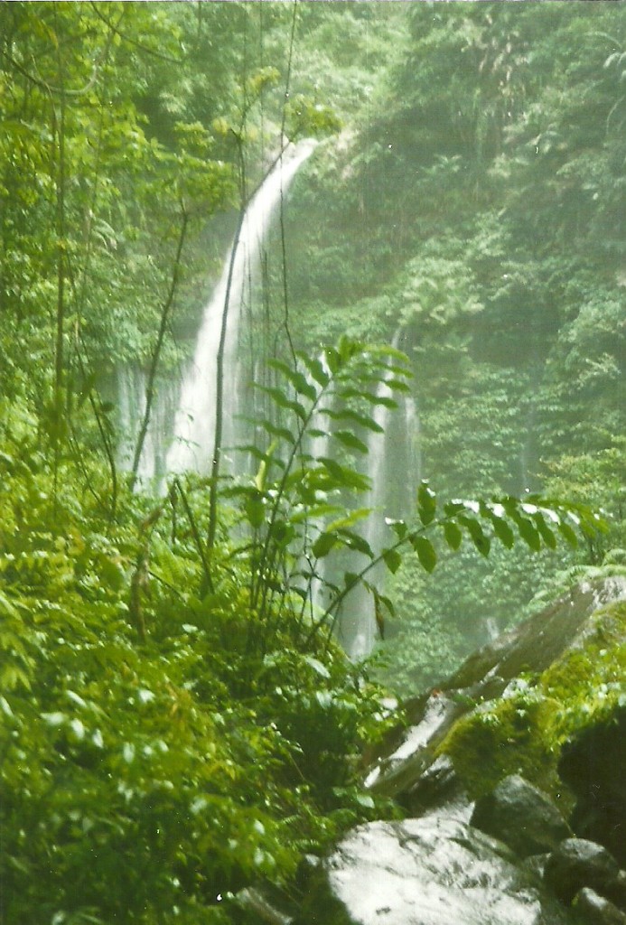 Zdjęcia: Gondang, Lombok, Wodospad Air Terjun Gannga, INDONEZJA Zdjęcia: Gondang, Lombok, Wodospad Air Terjun Gannga, INDONEZJA