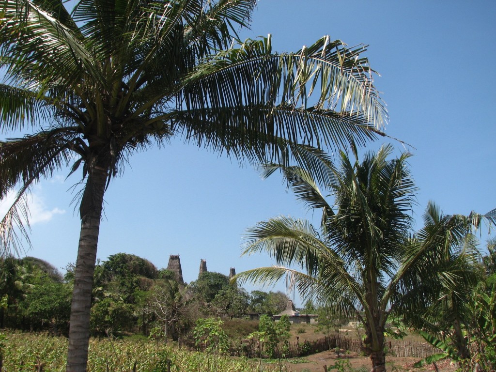 Zdjęcia: RATEENGARO, SUMBA, wioska, INDONEZJA Zdjęcia: RATEENGARO, SUMBA, wioska, INDONEZJA