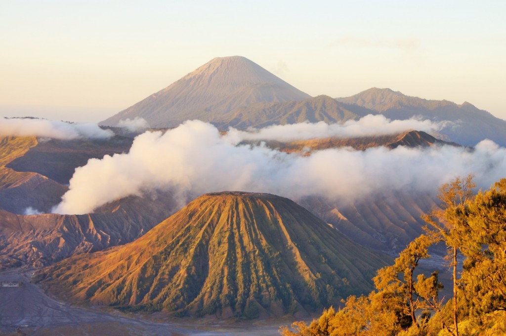 Zdjęcia: Bromo, Jawa, bromo, INDONEZJA Zdjęcia: Bromo, Jawa, bromo, INDONEZJA