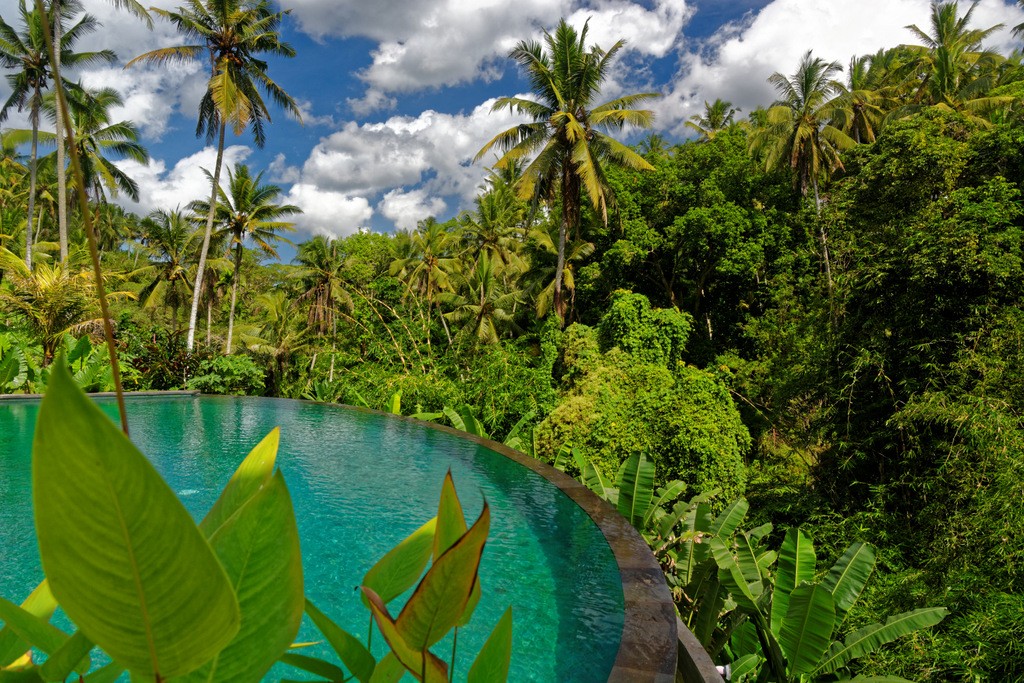 Zdjęcia: Ubud, Bali, Basen, INDONEZJA Zdjęcia: Ubud, Bali, Basen, INDONEZJA