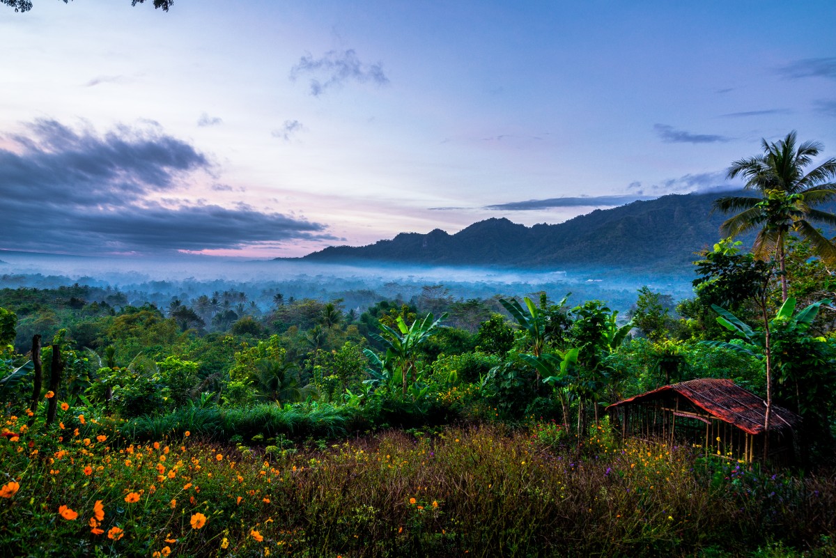 Zdjęcia: borobudur, yogyakarta, swit , INDONEZJA Zdjęcia: borobudur, yogyakarta, swit , INDONEZJA