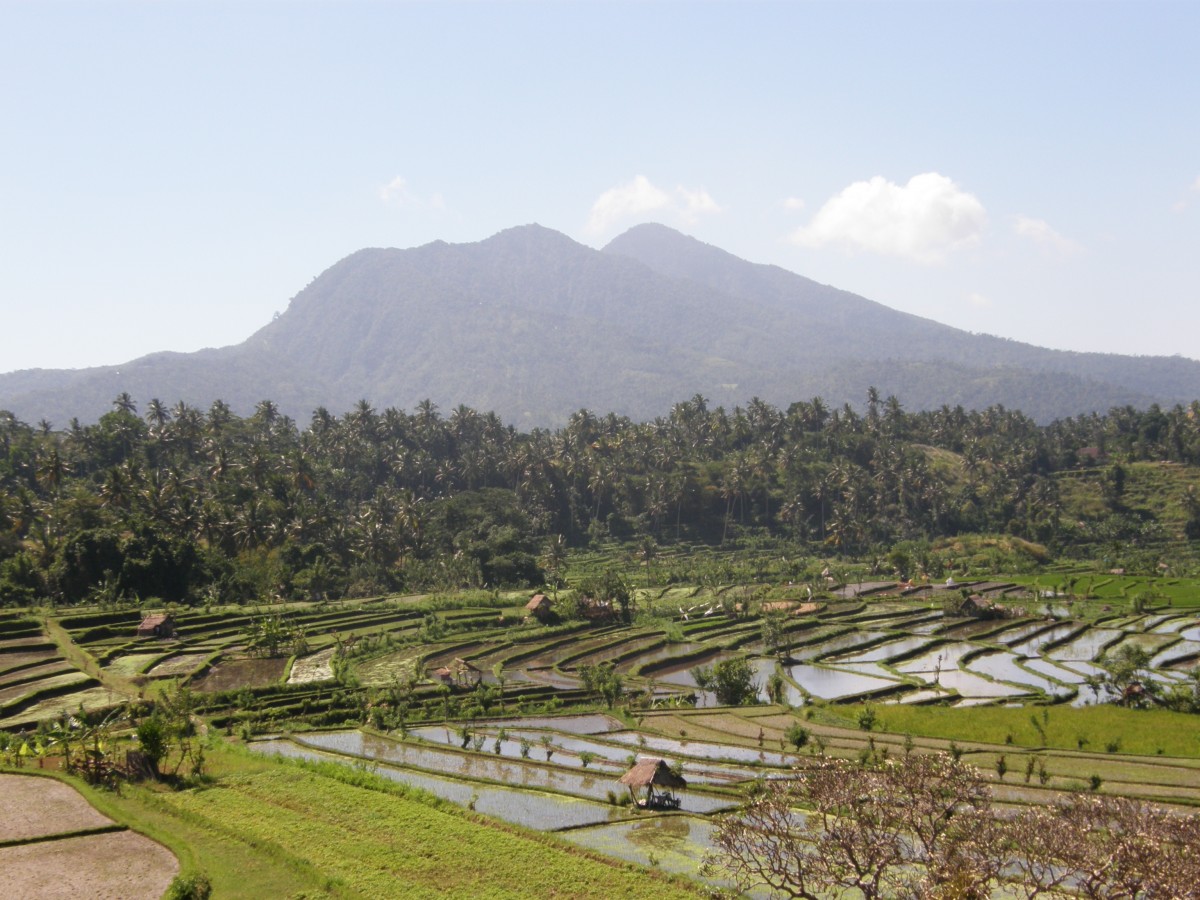 Zdjęcia: .., -.., ..., INDONEZJA Zdjęcia: .., -.., ..., INDONEZJA