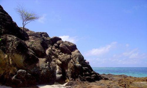 Zdjcie INDONEZJA / wyspa Lombok / wioska Kuta Beach / ronie na skace - plaa w Kuta Beach