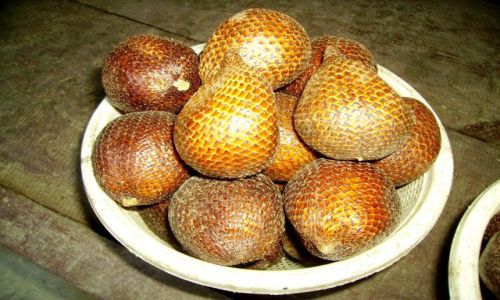 Zdjęcie INDONEZJA / Sulawesi Południowe /  Rantepao / dziwne owoce o łuskowatej skórce - salaki