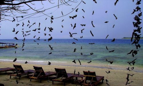 Zdjecie INDONEZJA /  Lombok / wysepka Gili Air /  plaa na Gili Air