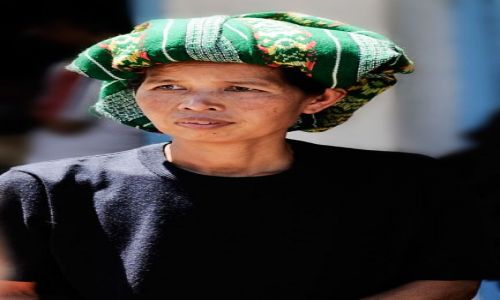 Zdjecie INDONEZJA / Sulawesi / Sulawesi / Zielono mi