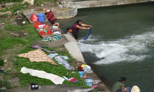 Zdjecie INDONEZJA / BALI / BALI / PRACZKI