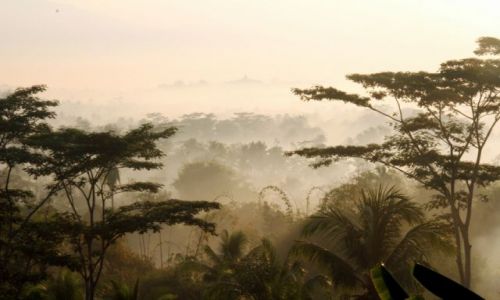 Zdjecie INDONEZJA / Java / Jogjakarta / Poranne mgy