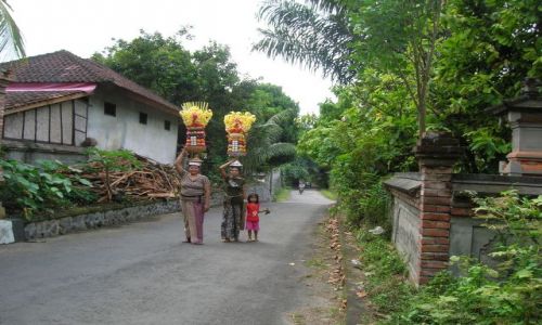 Zdjęcie INDONEZJA / bali.. / gdzies po drodze.. / Calkowity balans..