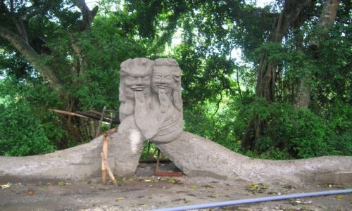 Zdjecie INDONEZJA / Bali / Ubud / Parka..