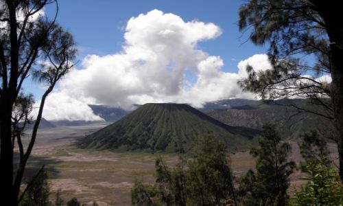 Zdjecie INDONEZJA / Jawa / Park Narodowy Bromo-Tenger-Semeru / Wulkan Batok (2440 m)